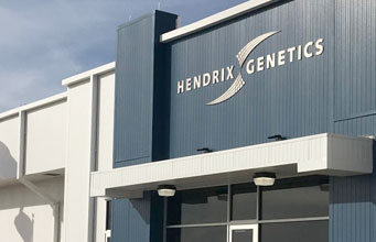 Available Properties